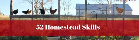 52 Homestead Skills Series Image